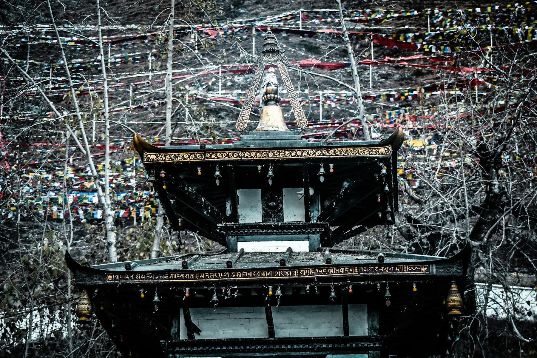 Muktinath Helicopter Tour